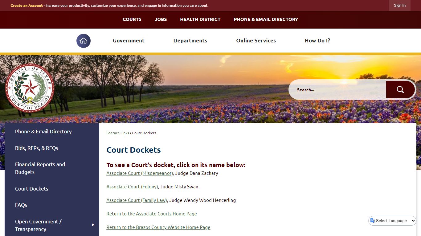 Court Dockets | Brazos County, TX - Official Website